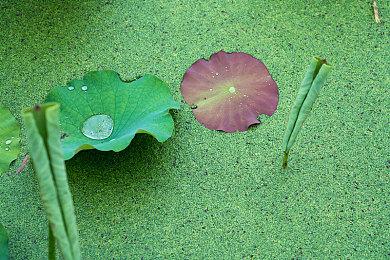 迎接万圣节Steam平台恶魔城多款游戏最低2折促销